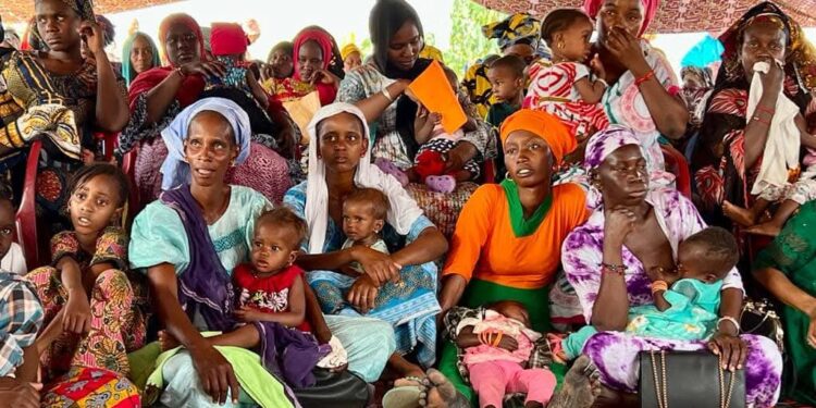 Diembéring : Baby Box Africa va  lancer les programmes “Juddu Box” et “Sukali Box” pour renforcer la santé maternelle et l’autonomisation des femmes