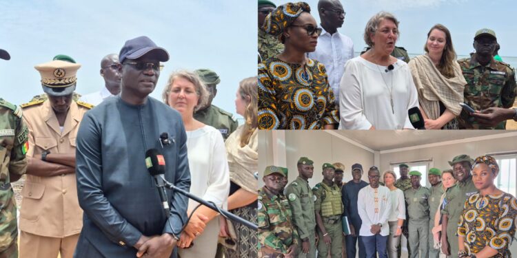 Casamance : le projet SEDAD clôturé sur des résultats jugés « très satisfaisants » par les autorités et leurs partenaires