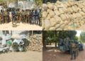 Opération ELOL 2026 : plus de six tonnes de produits illicites saisies et plusieurs réseaux criminels démantelés en Casamance