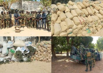 Opération ELOL 2026 : plus de six tonnes de produits illicites saisies et plusieurs réseaux criminels démantelés en Casamance