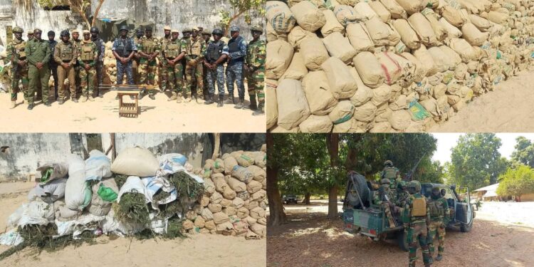 Opération ELOL 2026 : plus de six tonnes de produits illicites saisies et plusieurs réseaux criminels démantelés en Casamance