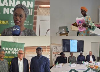 Diembéring accueille le projet Baby Box Africa pour renforcer la lutte contre la malnutrition maternelle et infantile