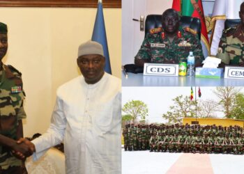 Mission de la CEDEAO en Gambie : l’amiral Wade magnifie le rôle du contingent sénégalais auprès des populations locales