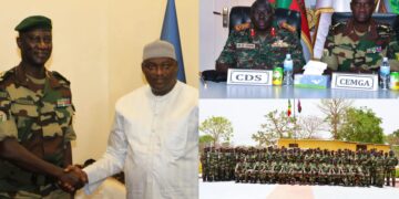 Mission de la CEDEAO en Gambie : l’amiral Wade magnifie le rôle du contingent sénégalais auprès des populations locales