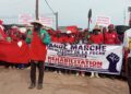 Ziguinchor : les acteurs de la pêche exigent la réhabilitation urgente de la route du quai de pêche