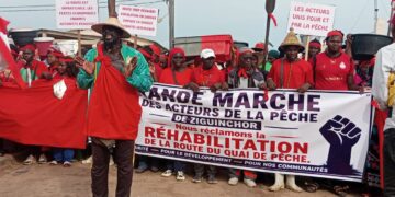 Ziguinchor : les acteurs de la pêche exigent la réhabilitation urgente de la route du quai de pêche