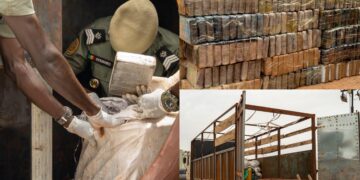 Trafic international de drogue : près d’une tonne de cocaïne pure saisie par les Douanes à Koumpentoum