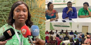 Casamance : le projet Natur’Elles réunit 20 organisations et 06 comités de gestion lors d’un atelier B2B dédié au marché et au financement
