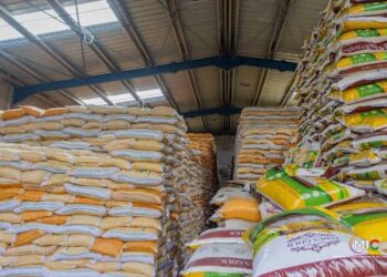 Crise du riz local : les industriels et les producteurs dénoncent la « politique du fait accompli » du ministère‎