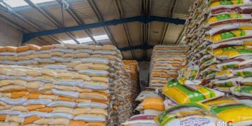 Crise du riz local : les industriels et les producteurs dénoncent la « politique du fait accompli » du ministère‎