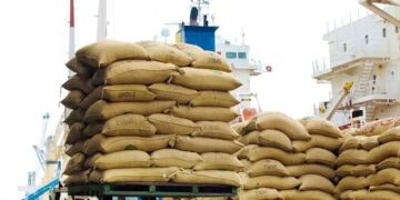 Une taxe sur le riz importé envisagée pour soutenir la filière locale