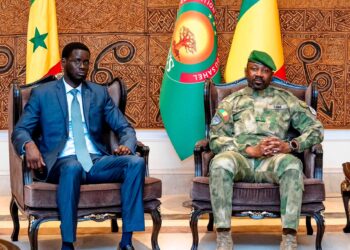 Le Sénégal et le Mali renforcent leur partenariat face aux défis sécuritaires et économiques