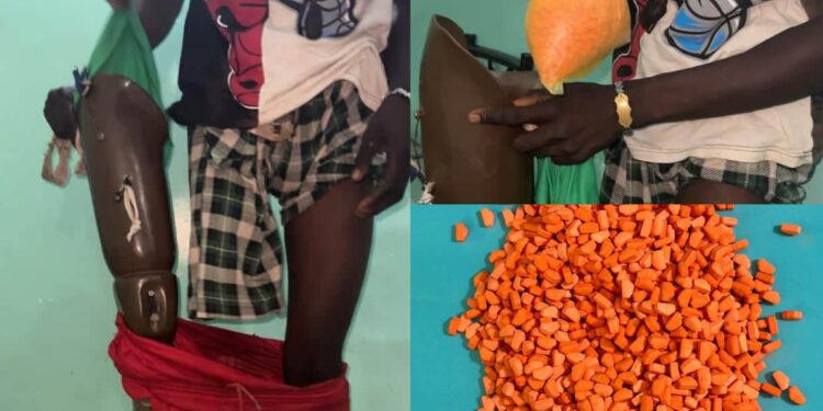 Trafic de drogue : une mule interpellée à Karang avec 1 590 pilules d’ecstasy dissimulées dans une prothèse de jambe