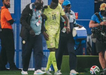 Nouvelle controverse autour de la FSF : les Lions auraient disputé le Mondial sans assurance