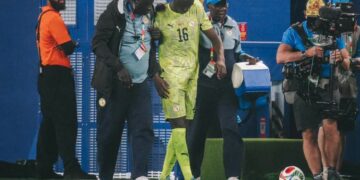 Nouvelle controverse autour de la FSF : les Lions auraient disputé le Mondial sans assurance