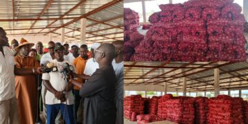 Oignon et pomme de terre : le marché local bien approvisionné, rassure l&rsquo;ARM