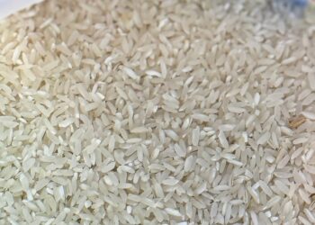 Aflatoxines dans le riz : le gouvernement dément toute contamination généralisée au Sénégal