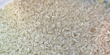 Aflatoxines dans le riz : le gouvernement dément toute contamination généralisée au Sénégal