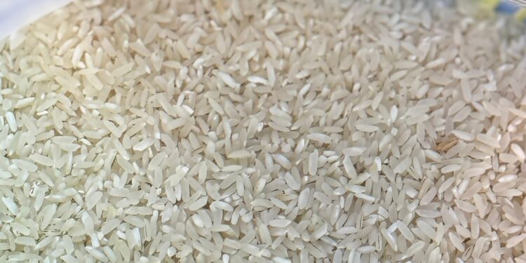 Aflatoxines dans le riz : le gouvernement dément toute contamination généralisée au Sénégal