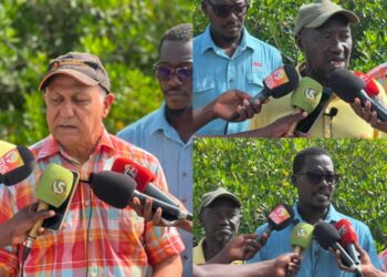 Crise à l’Océanium : le comité directeur conteste Haïdar El Ali et saisit la justice