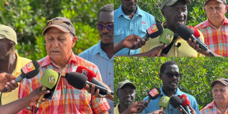 Crise à l’Océanium : le comité directeur conteste Haïdar El Ali et saisit la justice