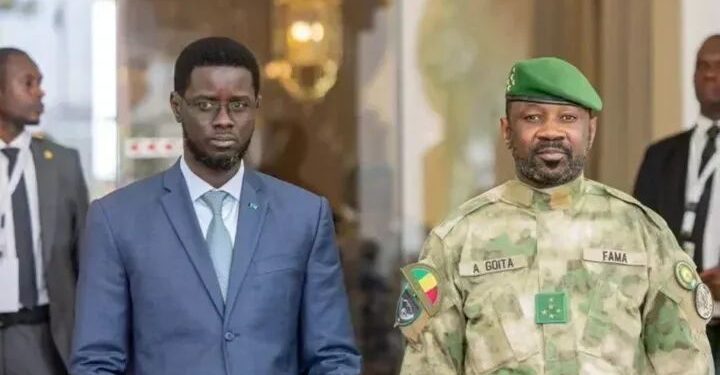 Grâce présidentielle pour Yann Christian Vezilier : la diplomatie discrète de Bassirou Diomaye Faye porte ses fruits à Bamako