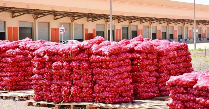 Sénégal : le gel des importations d’oignons officiellement levé ce 31 août