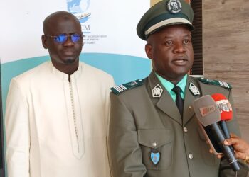 Protection des oiseaux migrateurs : les parlementaires de trois pays ouest-africains réunis à Saly