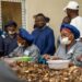 Casa Industries SA renforce son ancrage à Djifanghor et mise sur l’industrie pour dynamiser l’économie locale