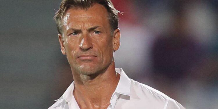 Hervé Renard de retour à la tête des Éléphants de Côte d'Ivoire 1 Hervé Renard de retour à la tête des Éléphants de Côte d’Ivoire