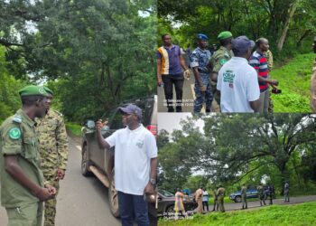 Journée nationale de l’Arbre 2026 à Ziguinchor : Diégoune se prépare à accueillir la célébration officielle 2 Journée nationale de l’Arbre 2026 à Ziguinchor : Diégoune se prépare à accueillir la célébration officielle