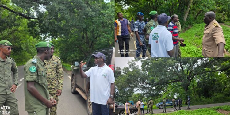 Journée nationale de l’Arbre 2026 à Ziguinchor : Diégoune se prépare à accueillir la célébration officielle