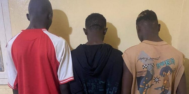 ‎Kolda : la police démantèle un présumé gang de « Kulunas »‎