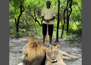 Patrick Vieira tout proche de devenir le nouveau sélectionneur des Lions