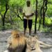 Patrick Vieira tout proche de devenir le nouveau sélectionneur des Lions 6 Patrick Vieira tout proche de devenir le nouveau sélectionneur des Lions