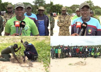 ‎Abéné : G Sand poursuit la réhabilitation de la dune exploitée avec le reboisement de 920 plants