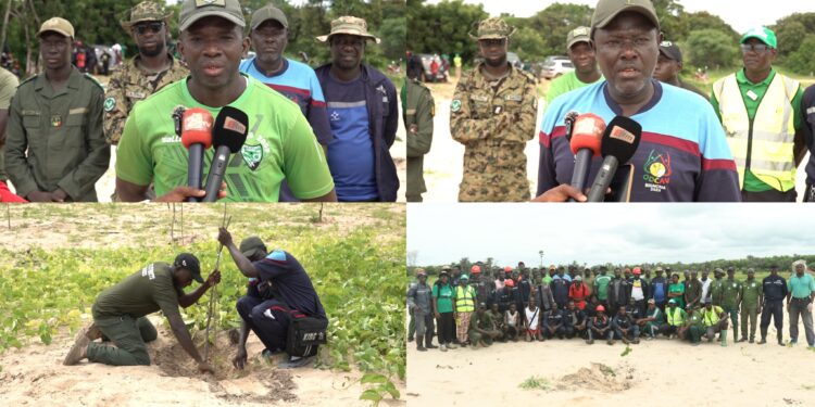 ‎Abéné : G Sand poursuit la réhabilitation de la dune exploitée avec le reboisement de 920 plants