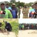 ‎Abéné : G Sand poursuit la réhabilitation de la dune exploitée avec le reboisement de 920 plants