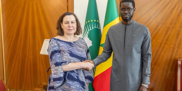 Sénégal : le FMI conclut un accord de principe pour un nouveau programme de 2,2 milliards de dollars 1 Sénégal : le FMI conclut un accord de principe pour un nouveau programme de 2,2 milliards de dollars