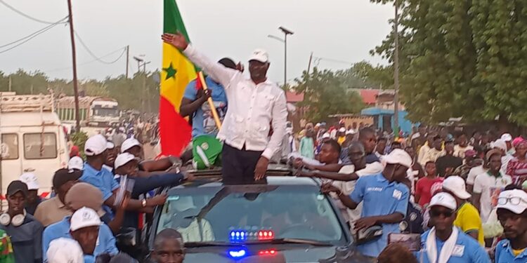Kaffrine : le directeur du CROUS-Thiès dissout son mouvement dans Kiiraay et s’en prend à Pastef 1 Kaffrine : le directeur du CROUS-Thiès dissout son mouvement dans Kiiraay et s’en prend à Pastef
