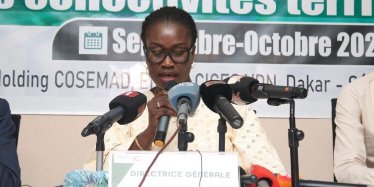 Fonction publique locale à Ziguinchor : le CNFPLF renforce la formation de 299 agents des ressources humaines