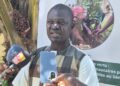 Sénégal–Guinée-Bissau : « Construire des ponts verts » pour restaurer les terres et protéger les ressources naturelles
