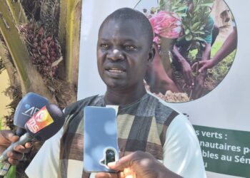 Sénégal–Guinée-Bissau : « Construire des ponts verts » pour restaurer les terres et protéger les ressources naturelles