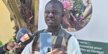 Sénégal–Guinée-Bissau : « Construire des ponts verts » pour restaurer les terres et protéger les ressources naturelles