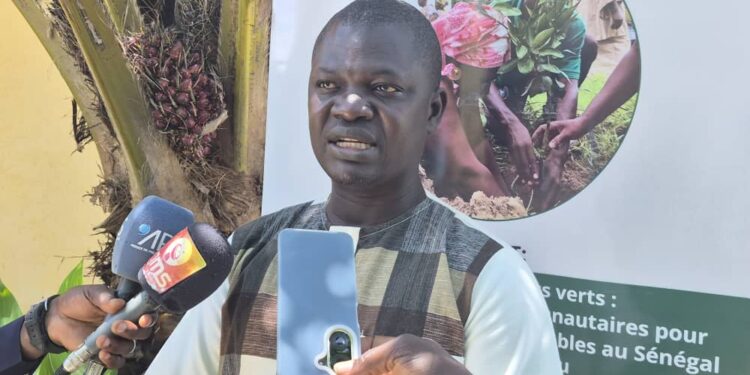 Sénégal–Guinée-Bissau : « Construire des ponts verts » pour restaurer les terres et protéger les ressources naturelles
