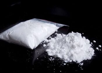 SALY : Un Français et un Comorien arrêtés pour détention d’arme à feu et de cocaïne
