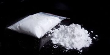 SALY : Un Français et un Comorien arrêtés pour détention d’arme à feu et de cocaïne 10 SALY : Un Français et un Comorien arrêtés pour détention d’arme à feu et de cocaïne