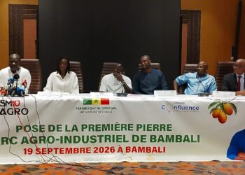 Parc agro-industriel de Bambali : Sadio Mané veut créer plus de 1 000 emplois dès le démarrage