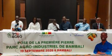 Parc agro-industriel de Bambali : Sadio Mané veut créer plus de 1 000 emplois dès le démarrage