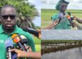 À Djibélor, l’ISRA mise sur la production de semences adaptées aux réalités de la riziculture en Casamance